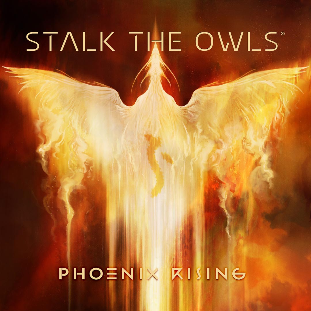 Phoenix Rising image header